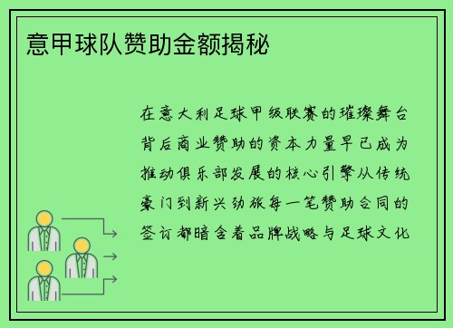 意甲球队赞助金额揭秘