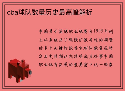 cba球队数量历史最高峰解析